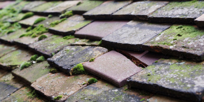 North Lee roof repair costs